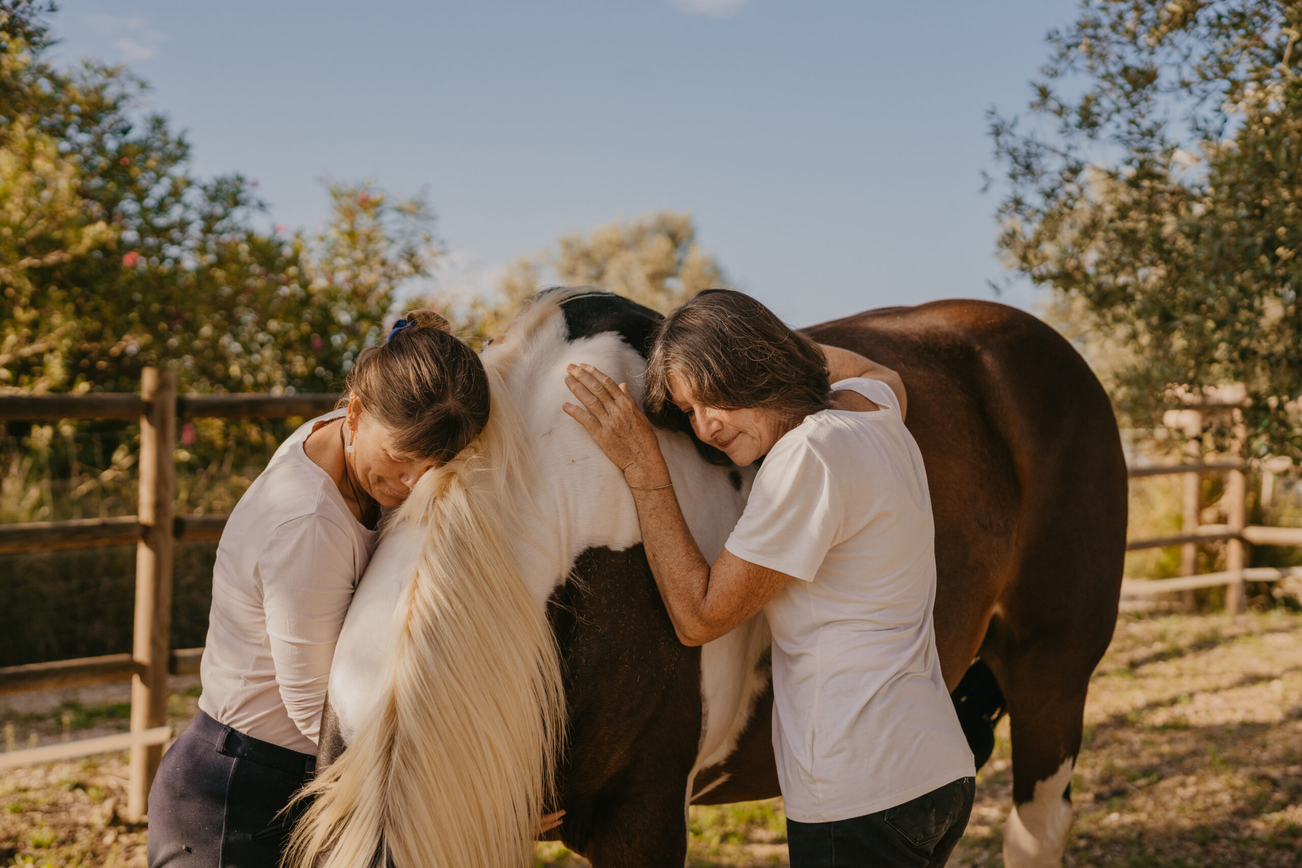 two ladies hugging the horse