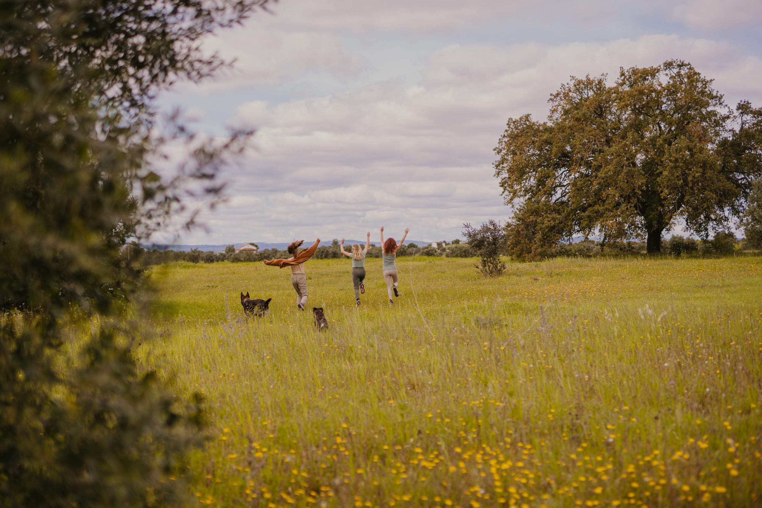ladies having fun in nature with their dogs