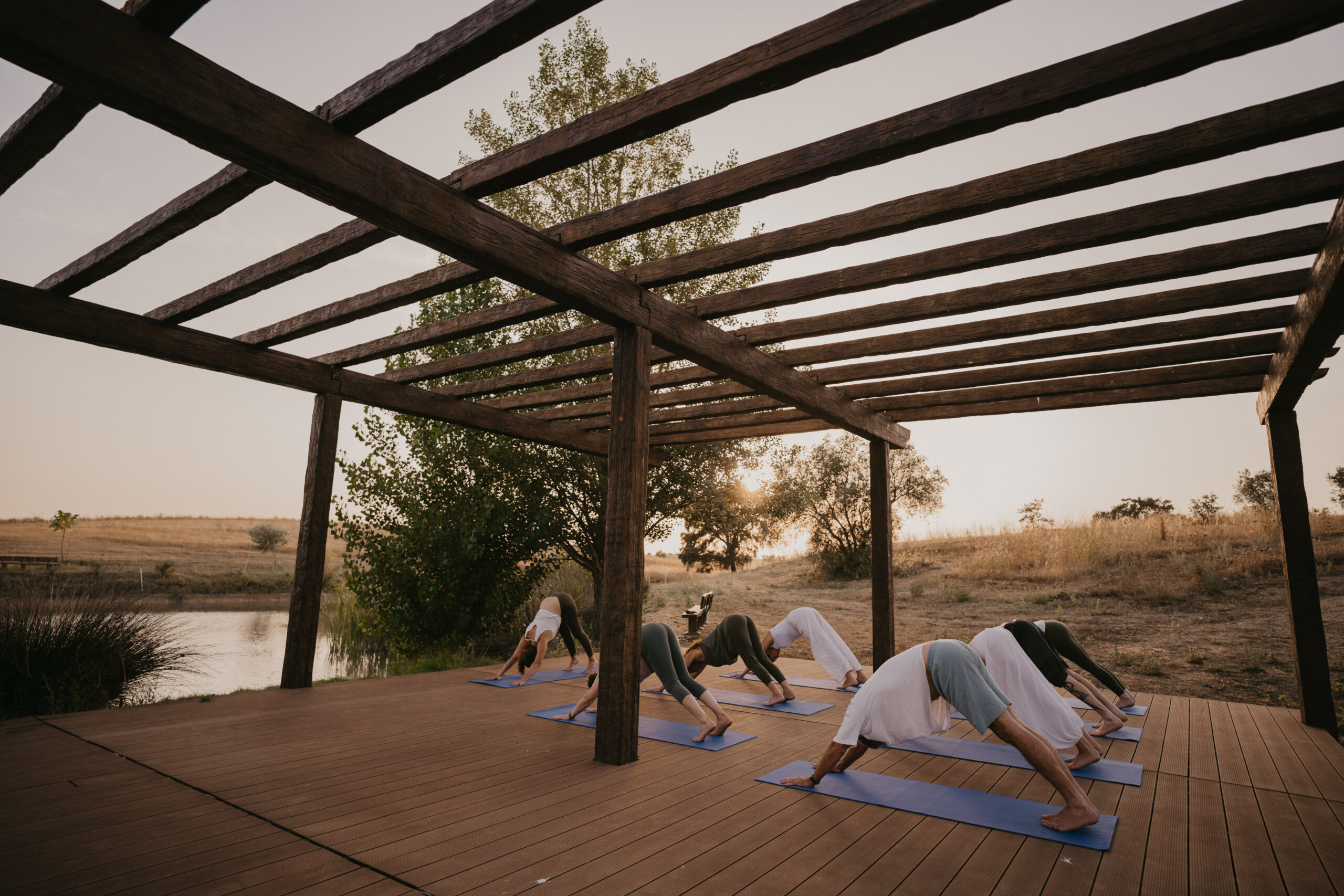 group of people doing yoga pose outside