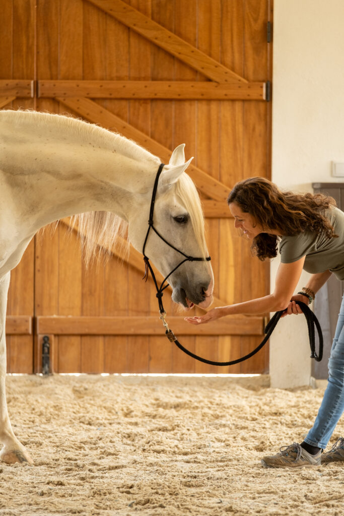woman feeding horse
